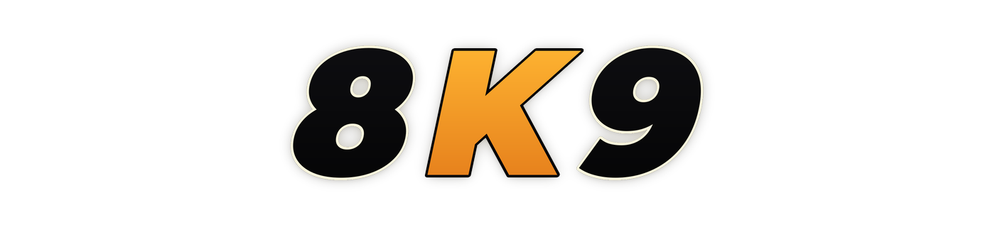 8k9 Casino Logo